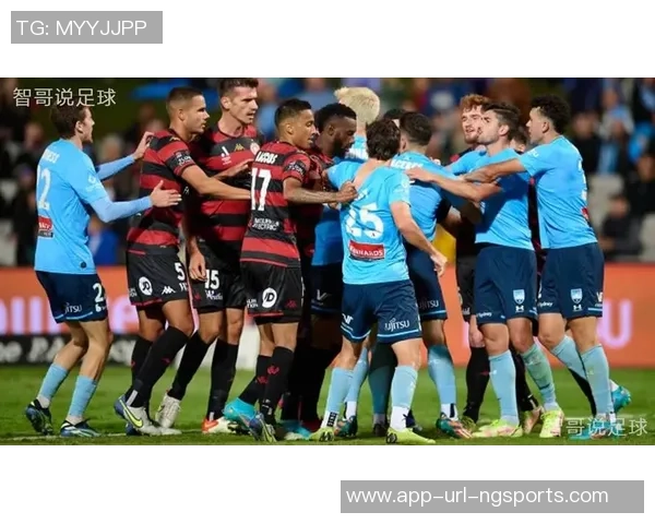 巴夫斯足球的崛起与发展探讨及其对全球足球文化的影响分析